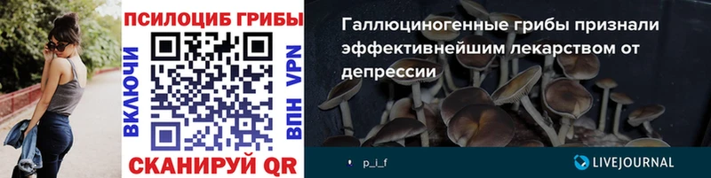 нарко площадка какой сайт  Сасово  Псилоцибиновые грибы прущие грибы  наркошоп 
