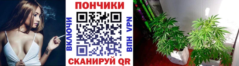 купить закладку  Сасово  Бошки Шишки конопля 